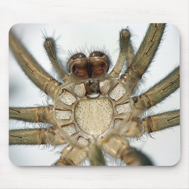 Mousepad aranha do exoskeleton (Frente)