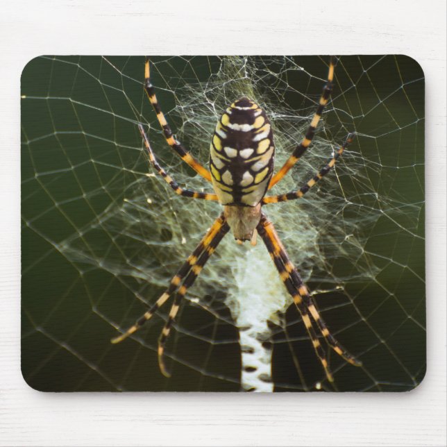 Mousepad Aranha-do-jardim amarela (Frente)