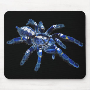 Mousepad Aranha tarântula, aracnídeo, aranha azul grande/