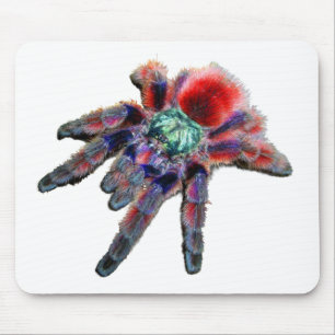 Mousepad Aranha tarântula, aracnídeo, aranha grande azul/