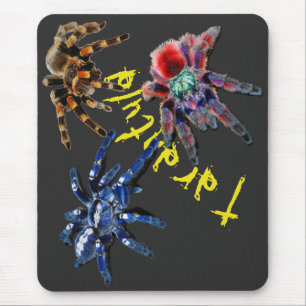 Mousepad Aranha tarântula, aranha azul, aranha vermelha, a