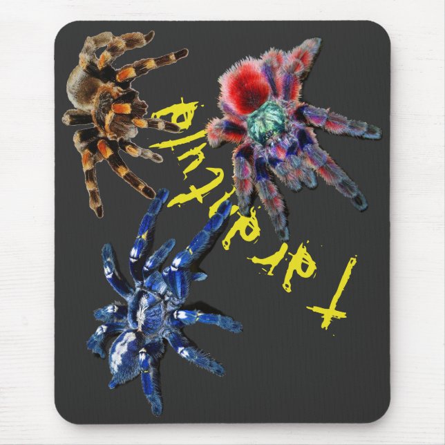 Mousepad Aranha tarântula, aranha azul, aranha vermelha, ar (Frente)