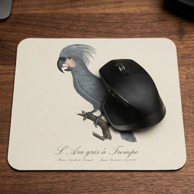Mousepad Arara cinza com tromba / Cacatua-de-bico-comprido  (Great Black Palm Cockatoo, Probosciger aterrimus. Mouse Pad)