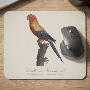 Mousepad Aratinga-sol, Aratinga Solstitialis