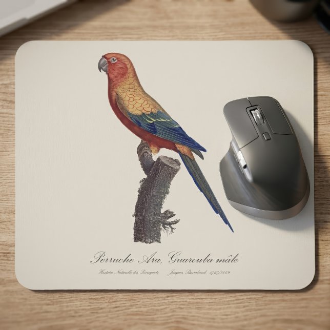 Mousepad Aratinga-sol, Aratinga Solstitialis (Sun Parakeet Male, Aratinga Solstitialis. Mouse Pad)