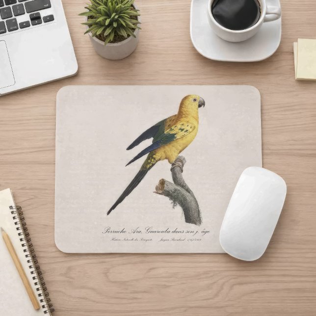 Mousepad Aratinga-solsticial ou Jandaia-solsticial Aratinga (Guarouba dans sons jeune age / Sun parakeet. Mouse Pad)