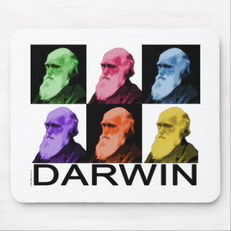 Mousepad Arco-íris Darwin
