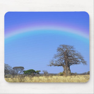 Mousepad Arco-íris e árvore baobá africano, Adansonia