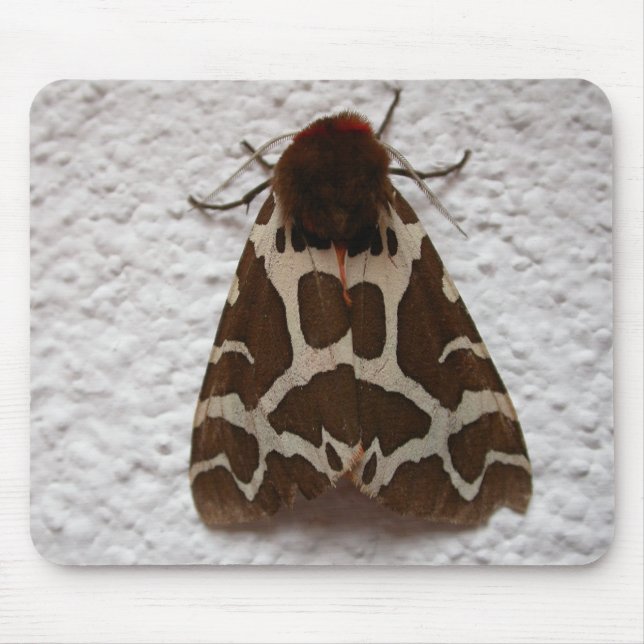 Mousepad Arctia caja (Frente)