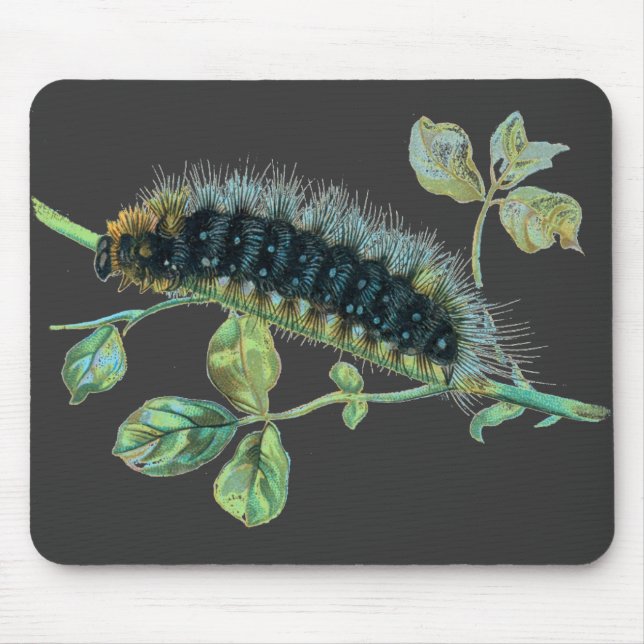 Mousepad Arctia caja caterpillar (Frente)