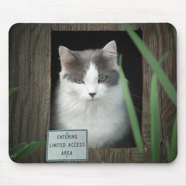 Mousepad Área de acesso limitada (Frente)