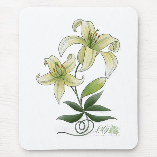 Mousepad Área de transferência (Frente)