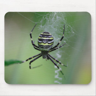 Mousepad Argiope bruennichi