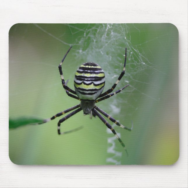 Mousepad Argiope bruennichi (Frente)
