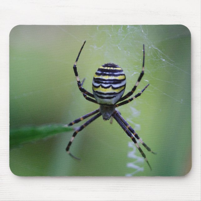 Mousepad Argiope bruennichi (Frente)