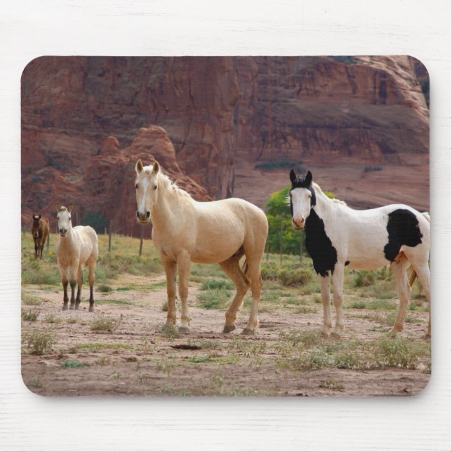 Mousepad Arizona, Reserva Indiana Navajo, Chinle, (Frente)