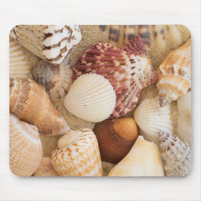 Mousepad Arranjo do Seashell (Frente)