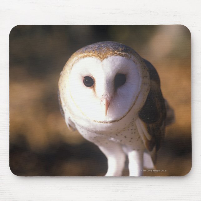 Mousepad "Arranque de Coruja-de-Barn, Terra Entre Lagos, KY (Frente)