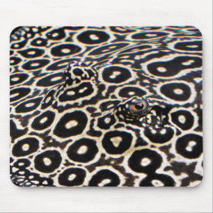 Mousepad Array crocodiloの マ ウ ス パ ド