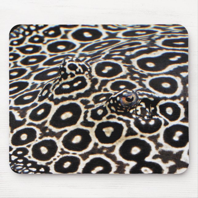 Mousepad Array crocodiloの マ ウ ス パ ド (Frente)