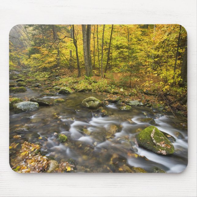Mousepad Arroyo Sanderson. Bosque Estatal Chester-Blanford. (Frente)