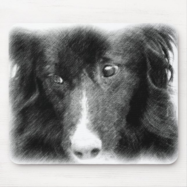Mousepad Arte Animal Collie de Borda Negra (Frente)