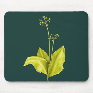 Mousepad Arte botânica da planta verde de alho selvagem