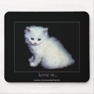 Mousepad Arte branca bonito do gatinho
