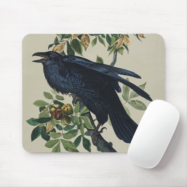 Mousepad Arte da Natureza de Pássaros do Corvo de Audubon V (Com mouse)
