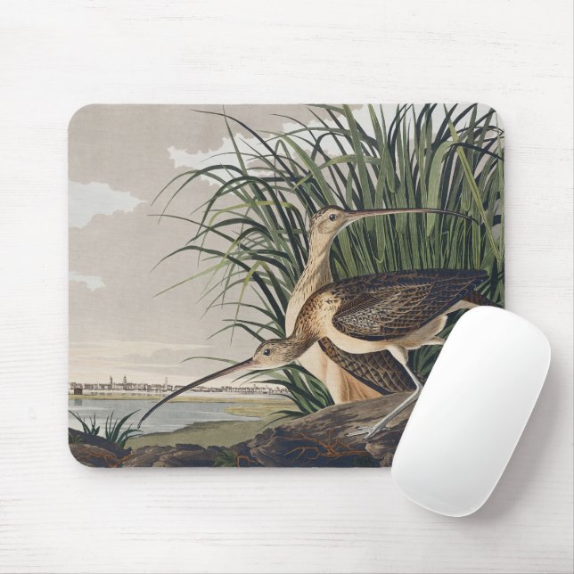 Mousepad Arte de Ave Vintage Audubon Maçarico-grande (Com mouse)