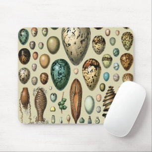 Mousepad Arte de Ovos de Pássaros da Academia Sombria Vinta