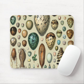 Mousepad Arte de Ovos de Pássaros da Academia Sombria Vinta