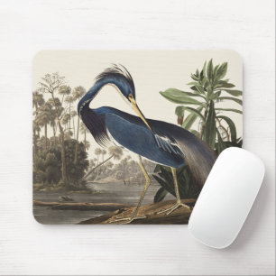 Mousepad Arte de Pássaro da Garça da Louisiana de Audubon V