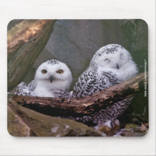 Mousepad Arte de vida selvagem da coruja-da-neve no bosque