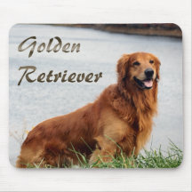 Arte do ouro Retriever