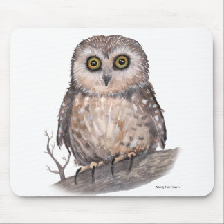 Mousepad Arte em Aquarela de Vida Selvagem da Coruja de Olh