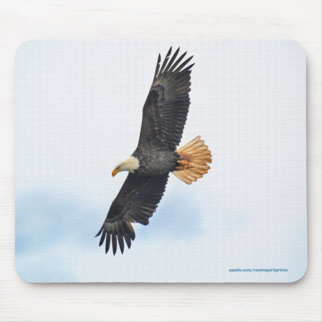 Mousepad Arte Fotográfica Bald Eagle Wildife (Frente)