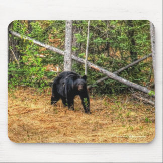 Mousepad Arte Fotográfica do Urso Negro Selvagem e Floresta