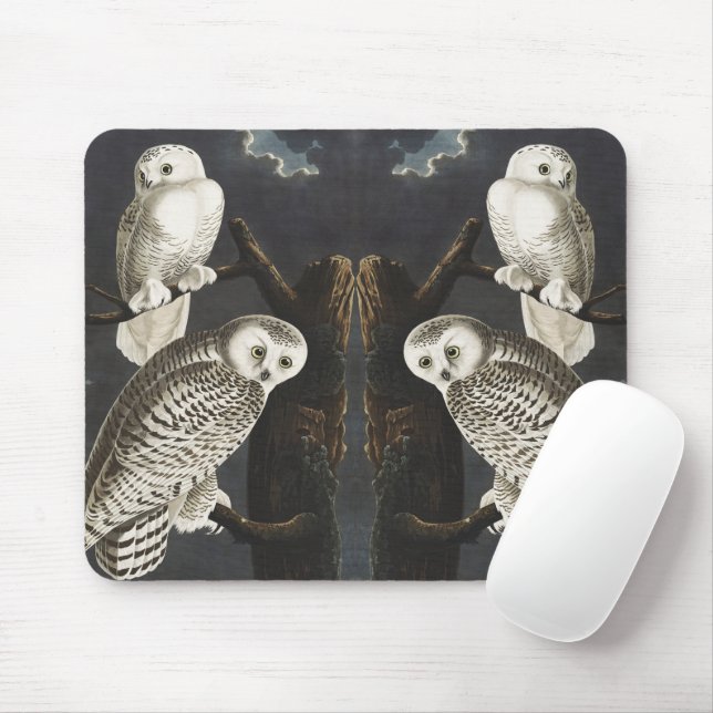 Mousepad Arte Noturna de Ave Noturna da Coruja da Neve Vint (Com mouse)