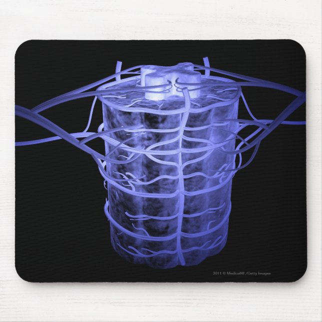 Mousepad Artérias que cercam a parte da coluna espinal (Frente)
