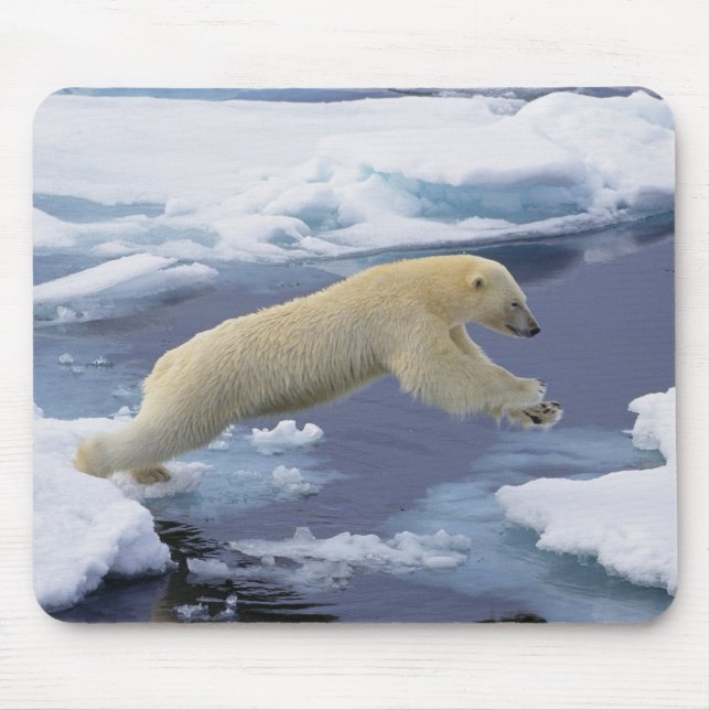 Mousepad Ártico, Svalbard, Urso Polar estendendo (Frente)