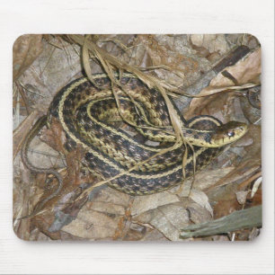 Mousepad Artigos de coordenação orientais novos do cobra