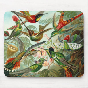 Mousepad Artista Vintage Ernst Haeckel Trochilidae