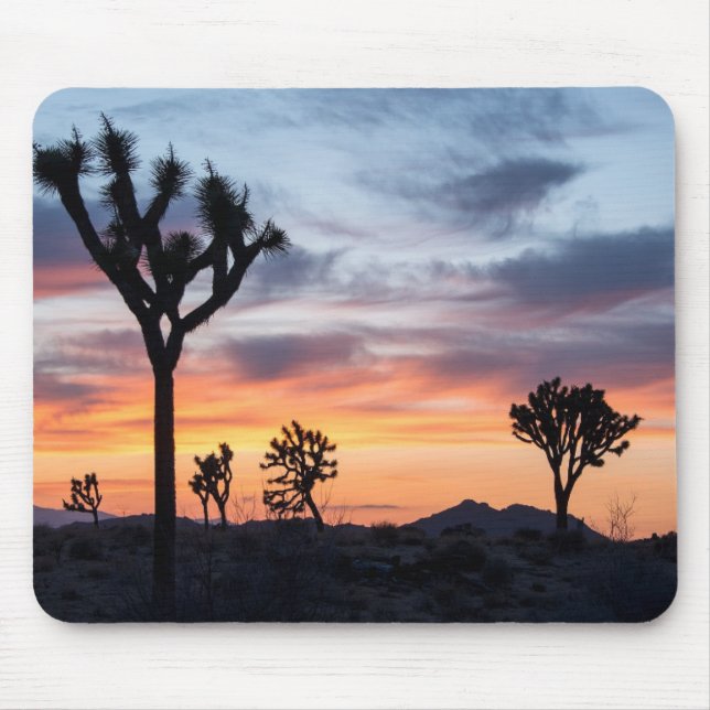 Mousepad Árvore (Frente)