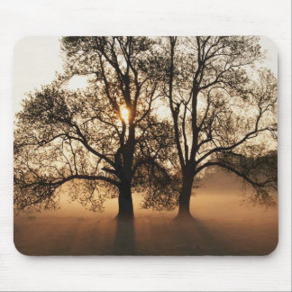 Mousepad Árvore