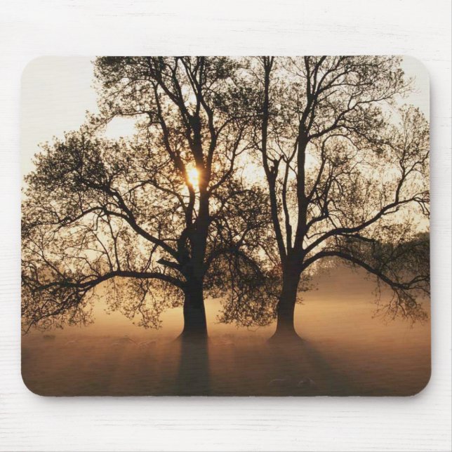 Mousepad Árvore (Frente)