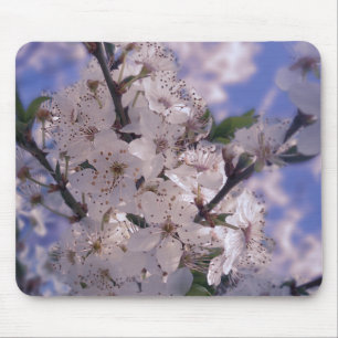 Mousepad Árvore azeda azul-céu