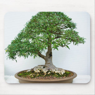 Mousepad Árvore Bonsai Japonesa em Vaso Oval Raso