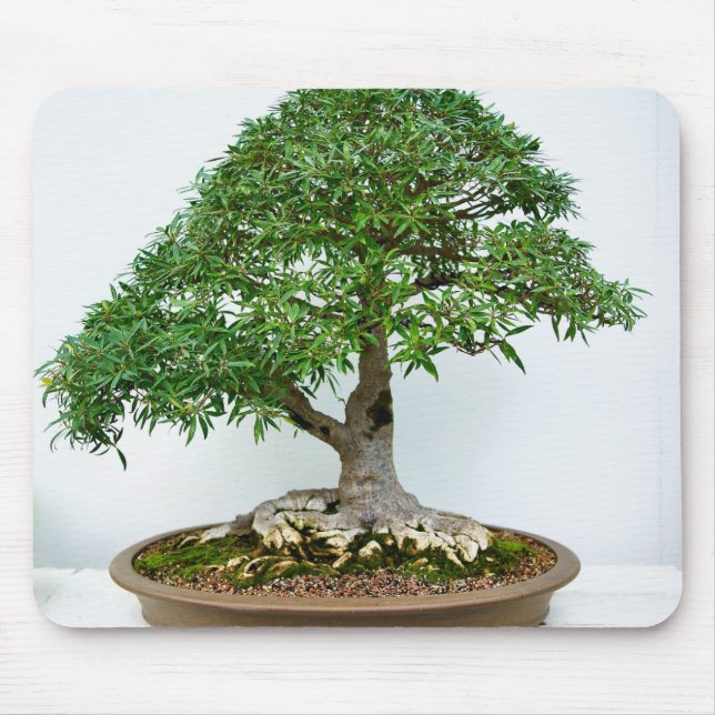 Mousepad Árvore Bonsai Japonesa em Vaso Oval Raso (Frente)