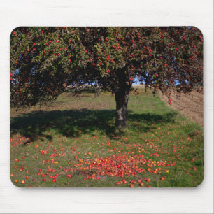 Mousepad Árvore da Maçã Antiga